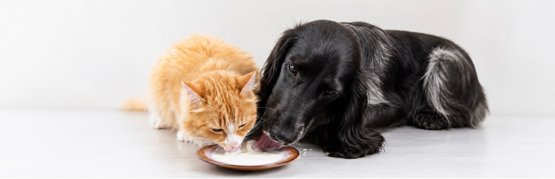 Sensitive diet Peura - Vet Concept