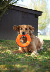 Vet - Concept frisbee (700p) - Vet Concept