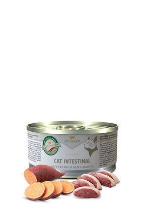 Kissamenu Intestinal